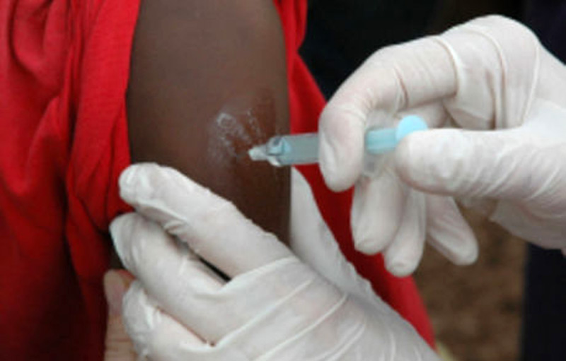 Un vaccin contre la dengue en 2015 ? © DR