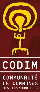 LOGO CODIM RVB