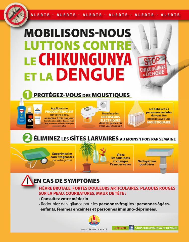 flyer chikungunya