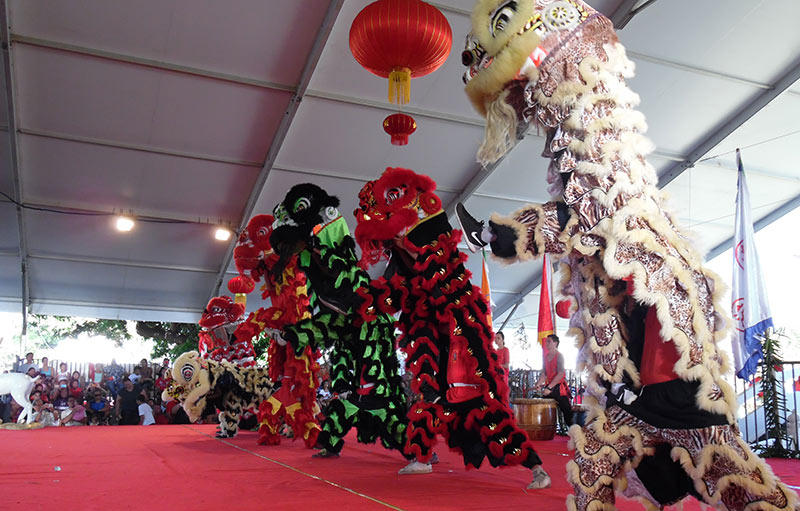 dragons nouvel an chinois