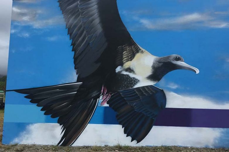 les oiseaux polynésiens Otaoha peints par Charles et Janine WILLIAMS~1