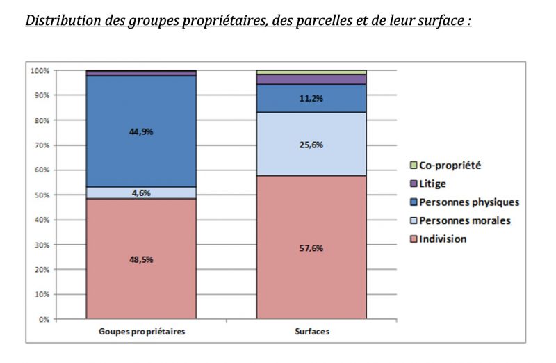 Indivision chiffres graphique CM 2 mars