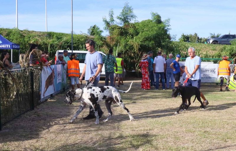 Chiens Exposition canine toutes races était organisée par l’Association canine territoriale PF